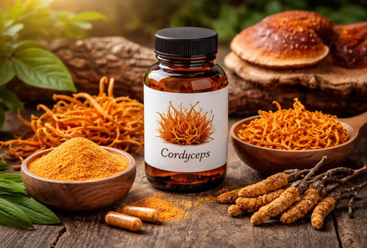 Best Cordyceps Supplement