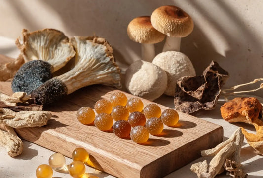 Best Functional Mushroom Gummies