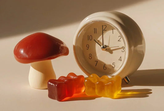 Best Time to Take Mushroom Supplements