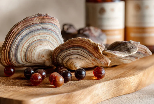 Best Turkey Tail Mushroom Supplement