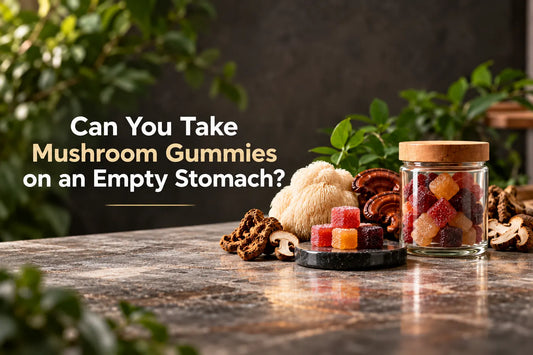 Can You Take Mushroom Gummies on an Empty Stomach