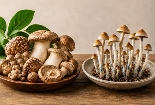 Functional Mushrooms Vs Psychedelic Mushrooms