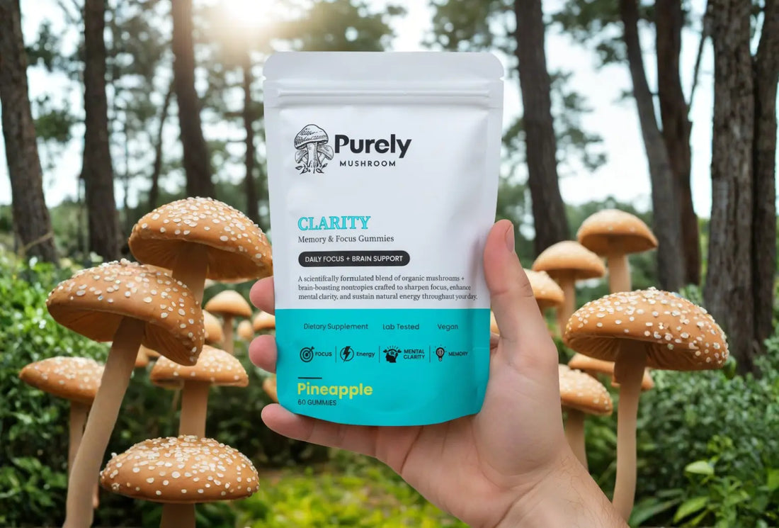 How Do Mushroom Gummies Work