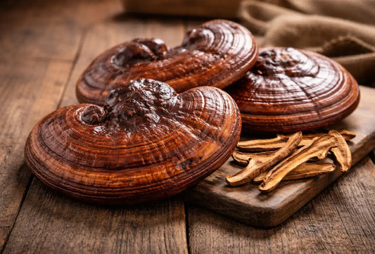 How Much Reishi Per Day