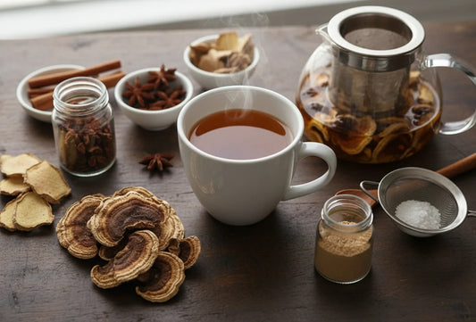 How to Use Turkey Tail Mushrooms