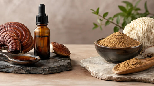 Mushroom Extract Vs Powder: What’s the Difference?