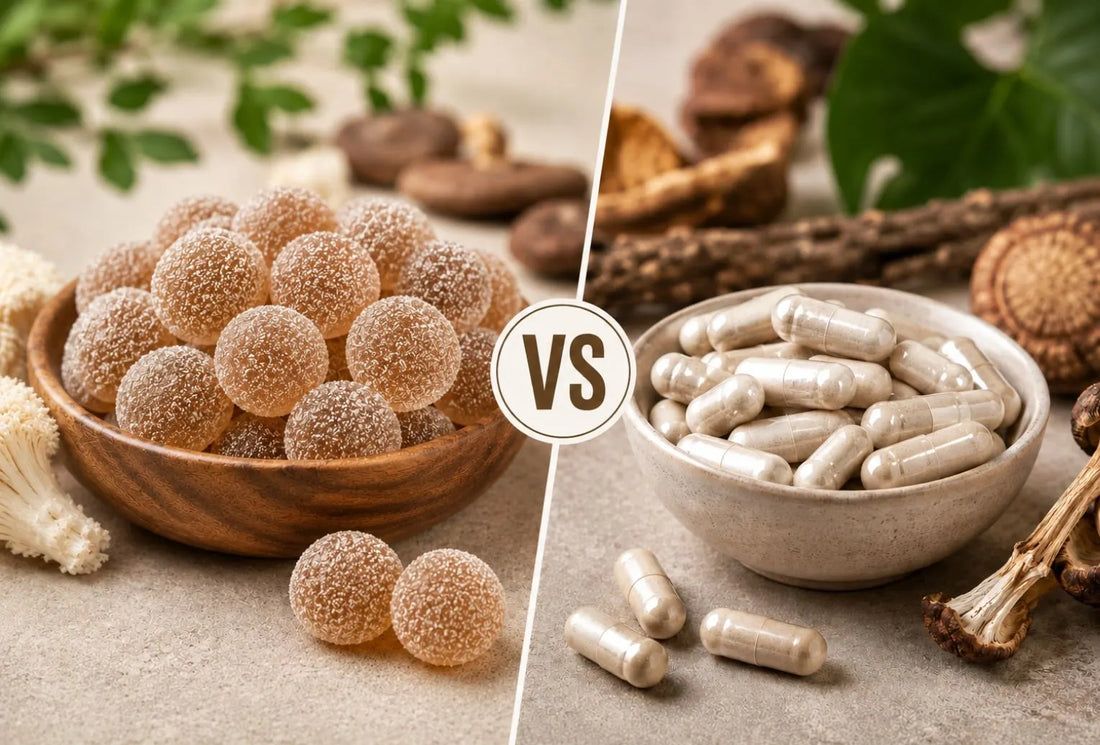 Mushroom Gummies Vs Capsules