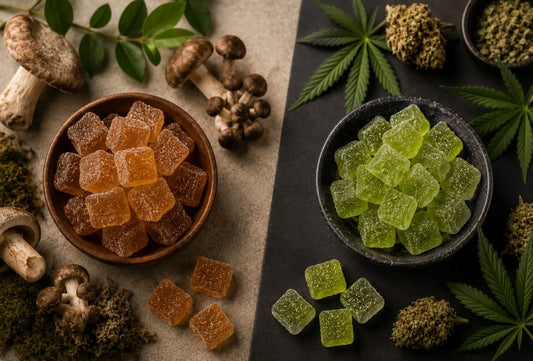 Mushroom Gummies Vs THC Gummies