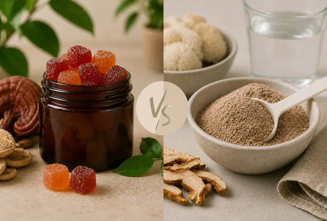 Mushroom Gummies vs Powders
