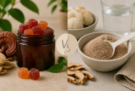 Mushroom Gummies vs Powders