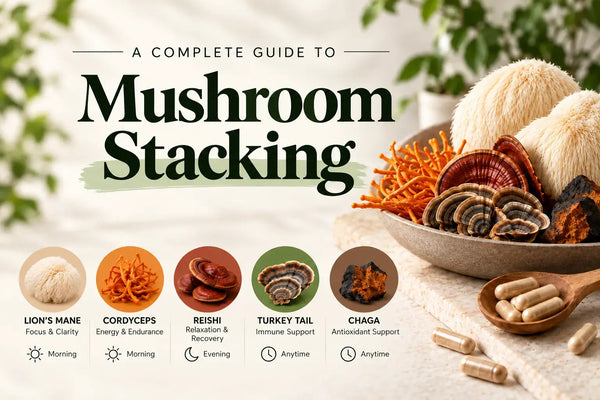 Mushroom Stacking Guide: Best Pairings, Timing & Safety