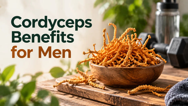 Cordyceps Benefits for Men: What the Research Actually Shows