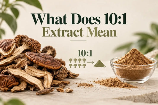 What Does 10:1 Extract Mean