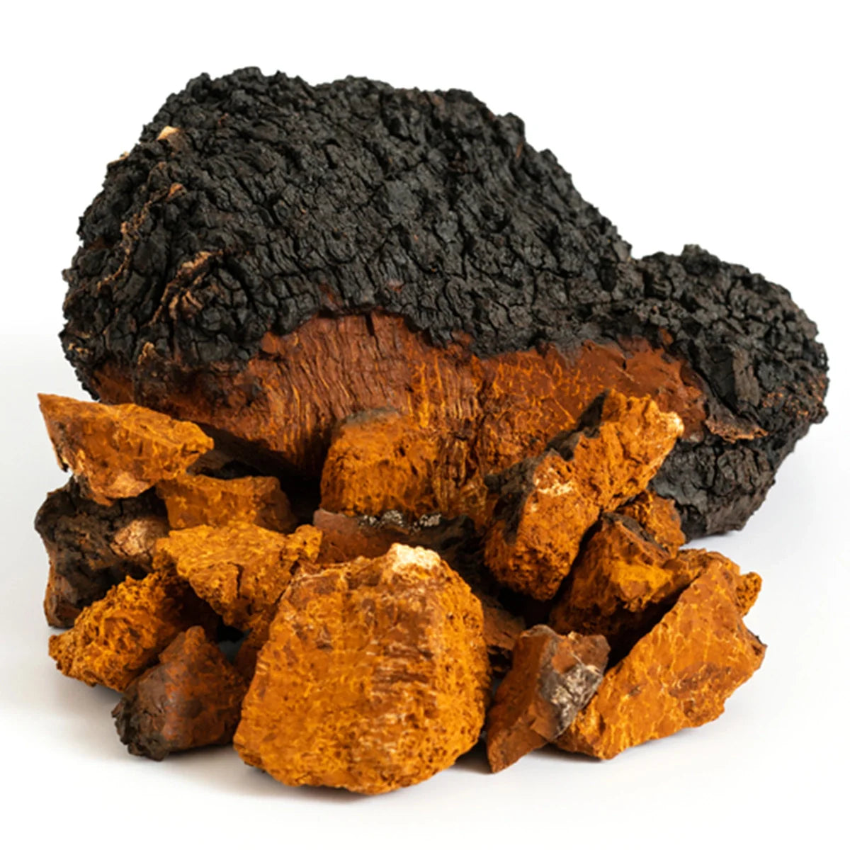 Chaga Mushrooms
