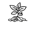 Functional Focus Mushroom