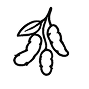 Mucuna Pruriens