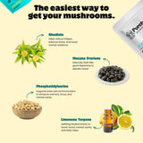 Clarity Memory & Focus Mushroom Gummies
