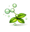 L-theanine