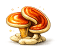 Reishi