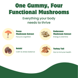 Thrive Gummies – Daily Vitality Gummy